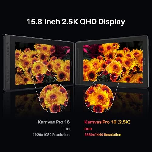 window display screens free sample