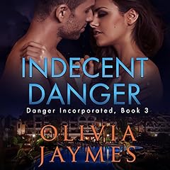 Indecent Danger cover art
