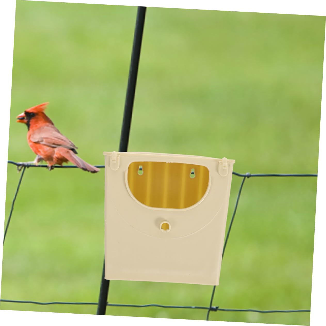 15 Piezas Caja De Cría De Aves Casa Jaula para Loros Casa Decorativa para Pájaros Suministros para Pájaros Casa para Pájaros Interior Nido De Pájaros Domésticos El Plastico