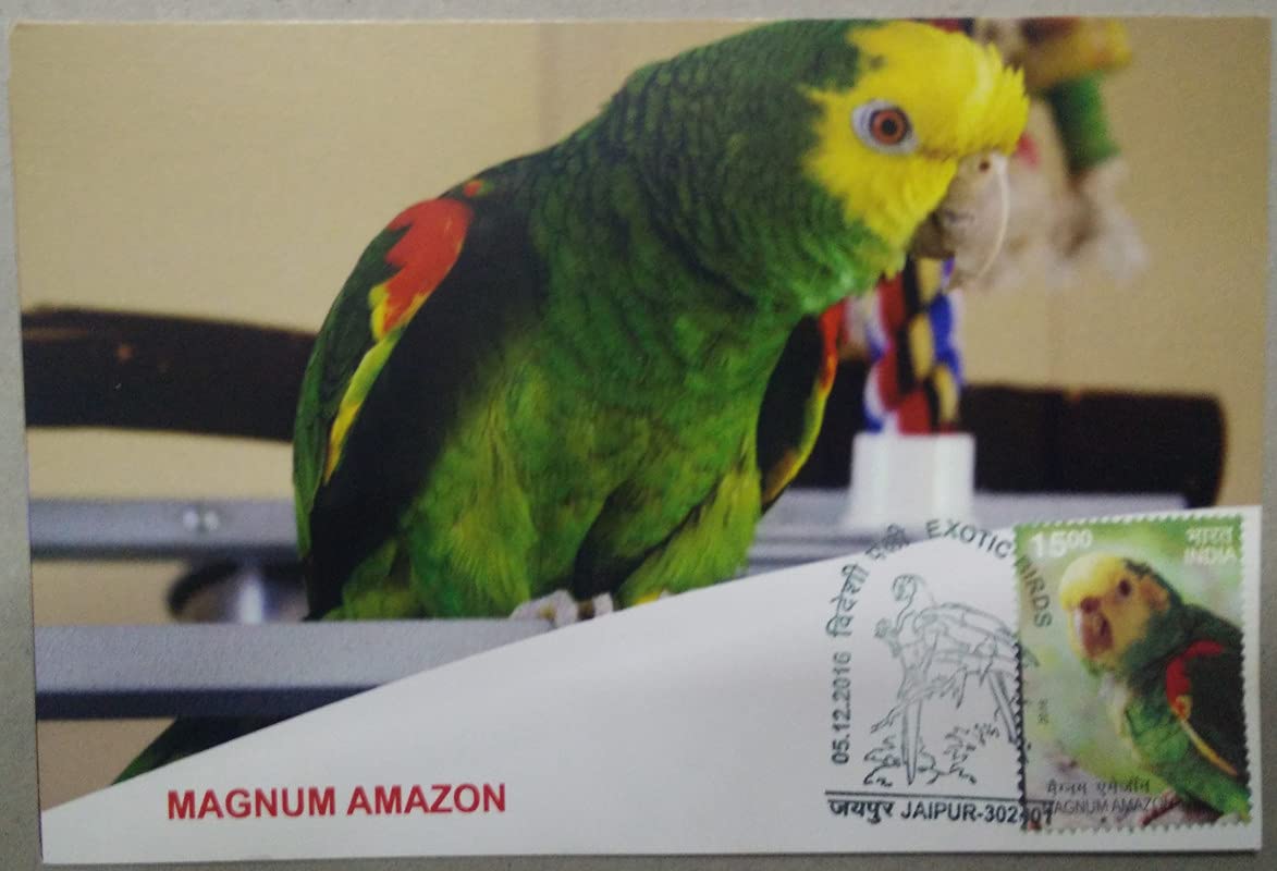 Magnum Amazon Maxim Card