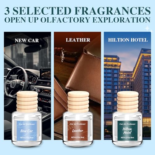 Image of 6 Pack Premium Car Air Freshener, Luxury Diffuser Set | Long Lasting Hanging Executive Vehicle Interior Decor Scent Unisex