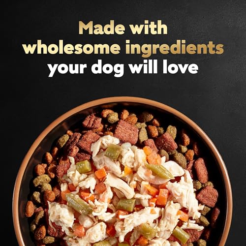 Image of Cesar Wholesome Meals Wet Dog Food Pouch, Chicken, 17.6 oz, 6 Count, 2-Pack | Chicken #1 ingredient, slow-cooked, resealable pouch, no by-products or artificial flavors, natural ingredients
