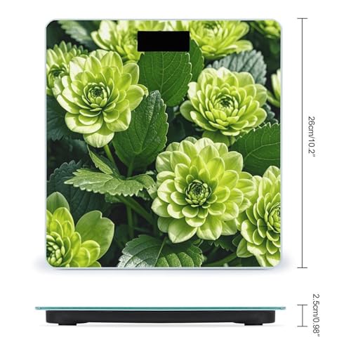 Báscula Digital de Baño Floral Verde de Alta Precisión miniatura 2