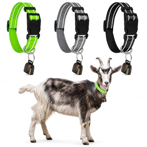 GINDOOR 3 Pack Reflective Goat Collars with Bells Cow Horse Sheep Grazing Copper Bells and Adjustable Nylon Collar Set Pet Anti-Lost Loud Bronze Bell for Small Farm Animal Goat Sheep Cow Accessories