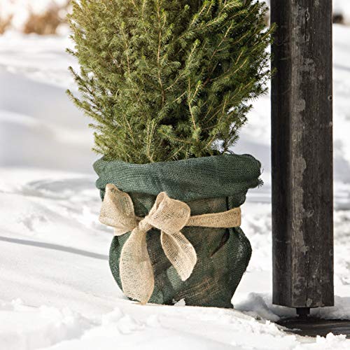 Windhager Jute wikkelstrips jute jute jute band jute wikkelstrip decoratieve band, 10 cm x 25 m, naturel, 06439 - Image 3