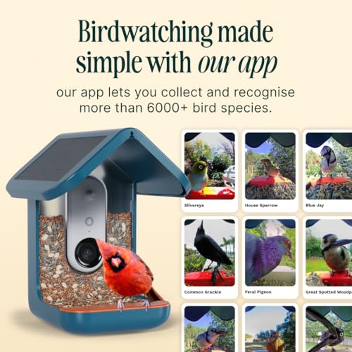 Birdbuddy PRO Solar Smart Bird Feeder with Camera - AI Bird Species Identification, 5MP Photos, 2K HD Video Live Stream Camera, Slow-Motion Video, 2.6in Focus - Blue Solar