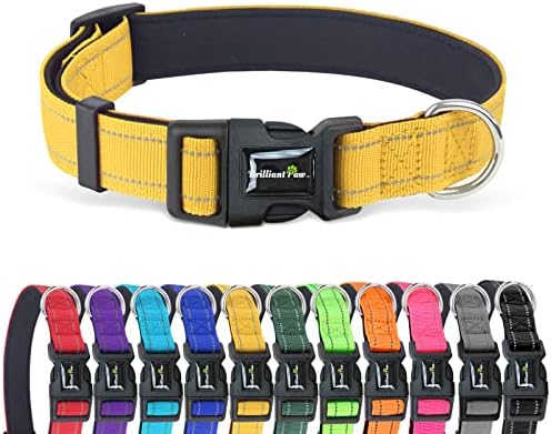 Brilliant Paw Reflective Dog Collar, Adjustable Nylon Collar, Strong Yet Comfortable, Safety Locking Buckle, Length Adjustable for Small Medium and Large Dog