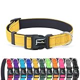 Brilliant Paw Reflective Dog Collar, Adjustable Nylon Collar, Strong Yet Comfortable, Safety Locking