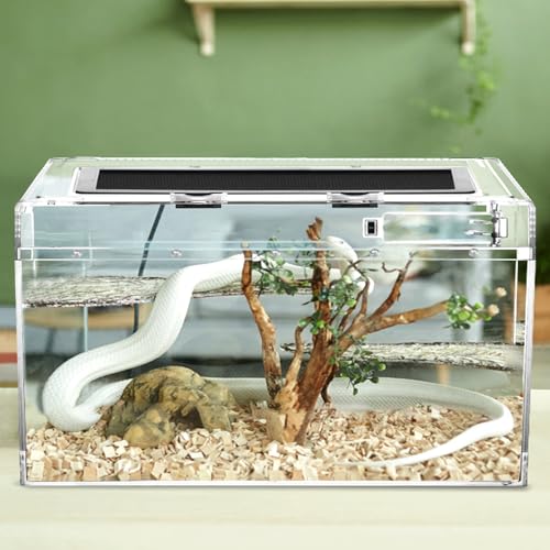 QWORK® Boîte d'alimentation pour Reptiles,Reptile pc Terrarium, 50 * 24 * 27cm pour Une variété de Reptiles et d'insectes