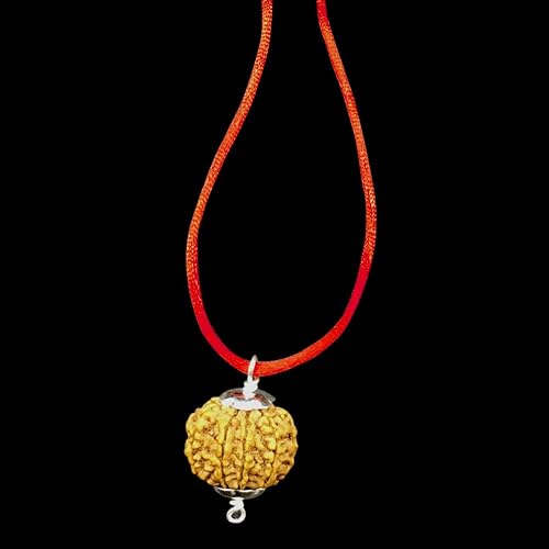 8 Mukhi Nepal Rudraksha IGL Lab Certified 26mm-28mm Silver Capped Original Geniu