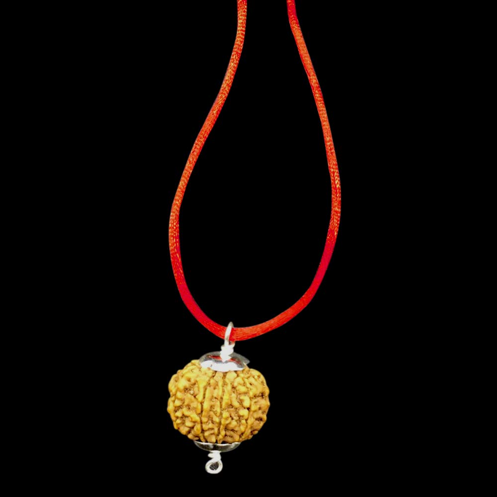 Rudraksha 8 Mukhi Népal 26mm authentique en argent pour méditation