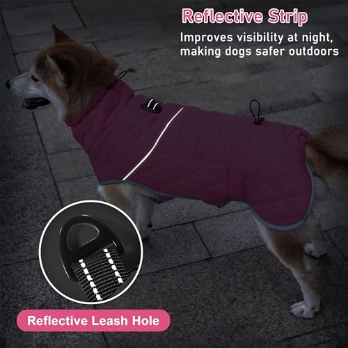 Manteau coupe-vent chien avec col roulé intégré pour protéger du froid - 6