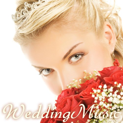 The Wedding Music Band