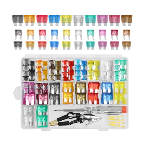 Ywdiml 306PCS Car Fuse Assortment Kit, Vehicle Standard & Mini