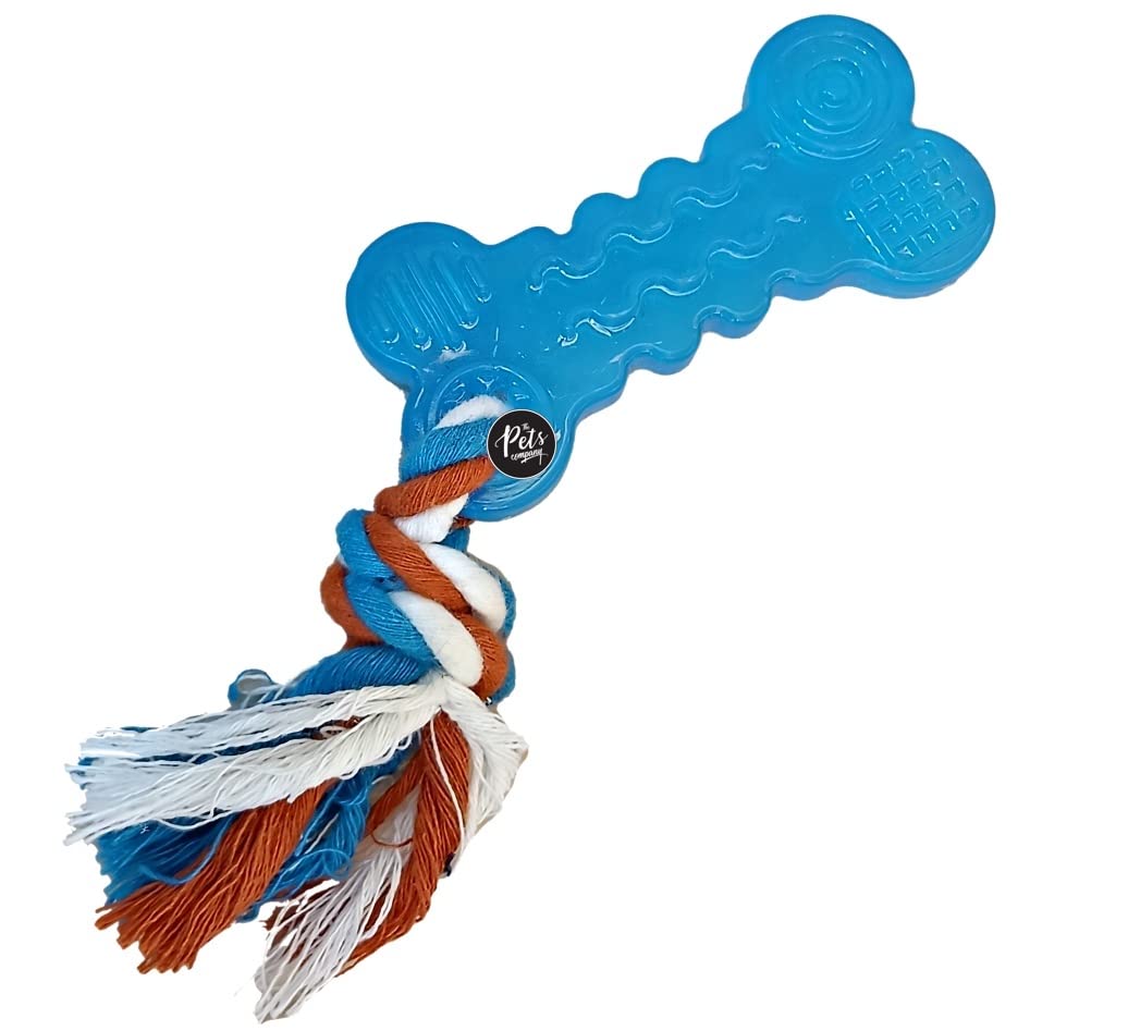 The Pets Company TPR Bone with Rope Knot, Puppy Chew Teething Toy for Playing and Teeth Cleaning Training (B0BTHG2DGX) Amazon Price History, Amazon Price Tracker