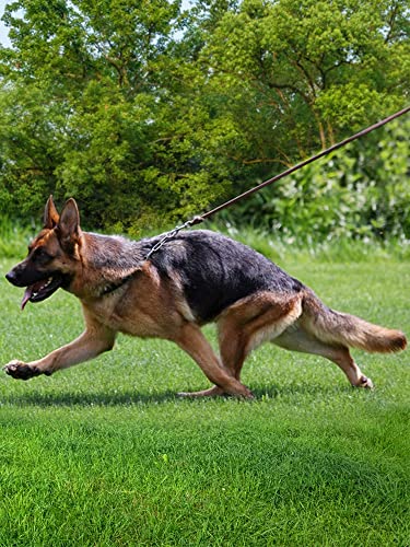 High-Density Braided Leather Dog Leash