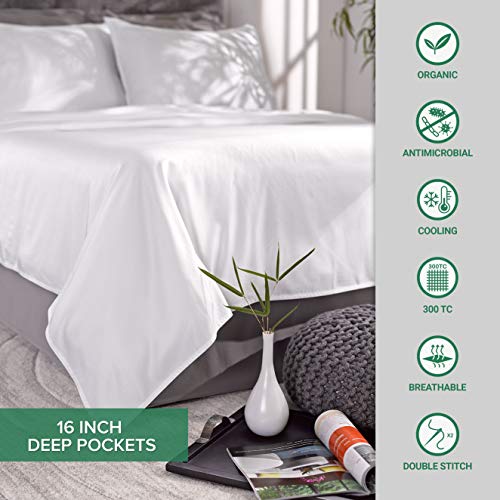 Pure Bamboo Sheets King Size Bed Sheets 4 Piece Set, 100% Organic Bamboo, Luxuriously Soft & Cooling, Double Stitching, 16" Deep Pockets, 1 Fitted, 1 Flat, 2 Pillowcases (King, Ivory)