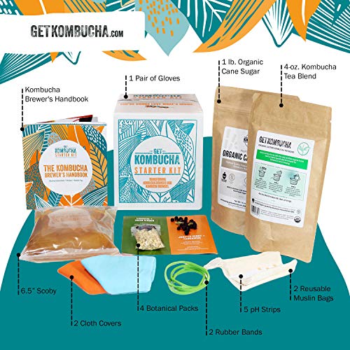 Get Kombucha Kombucha Starter Kit, Brewing Bundle for 5 gallons of Organic Tea, Vegan, GMO, and Gluten-Free Kombucha - Thumbnail 4