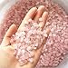 Wayber Pink Pebble, 1 Lb/460g Stones Rock Crystal Sands for Aquarium Fish Turtle Tank Landscape/Bonsai Succulent Plants Ornament/Bottom Decoration, Pink Natural Quarzt (Fills 1&1/4 Cups)