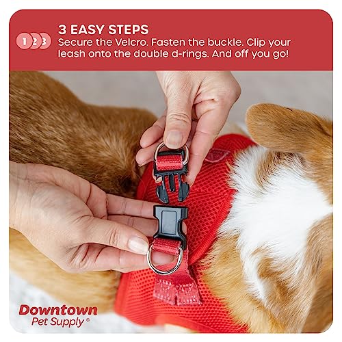 Downtown Pet Supply Step In Dog Harness For Small Dogs No Pull, Small, Red - Adjustable Harness With Padded Mesh Fabric And Reflective Trim - Buckle Strap Harness For Dogs #TOP4
