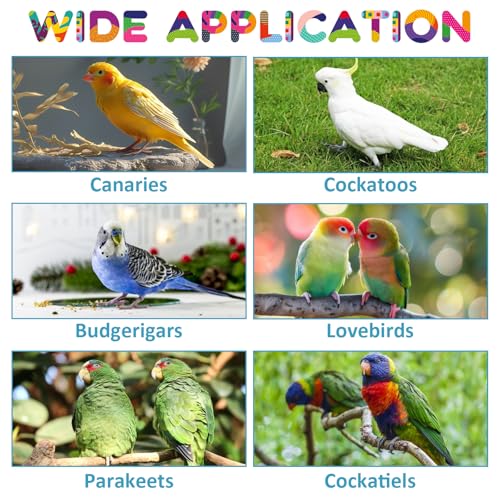 Image of 10 PCS Bird Perch Parrot Stand Wood Parrot Perch Stand Platform Natural Paw Grinding Stick Bird Cage Accessories for Budgies Cockatiels Cockatoo Conure Parakeet
