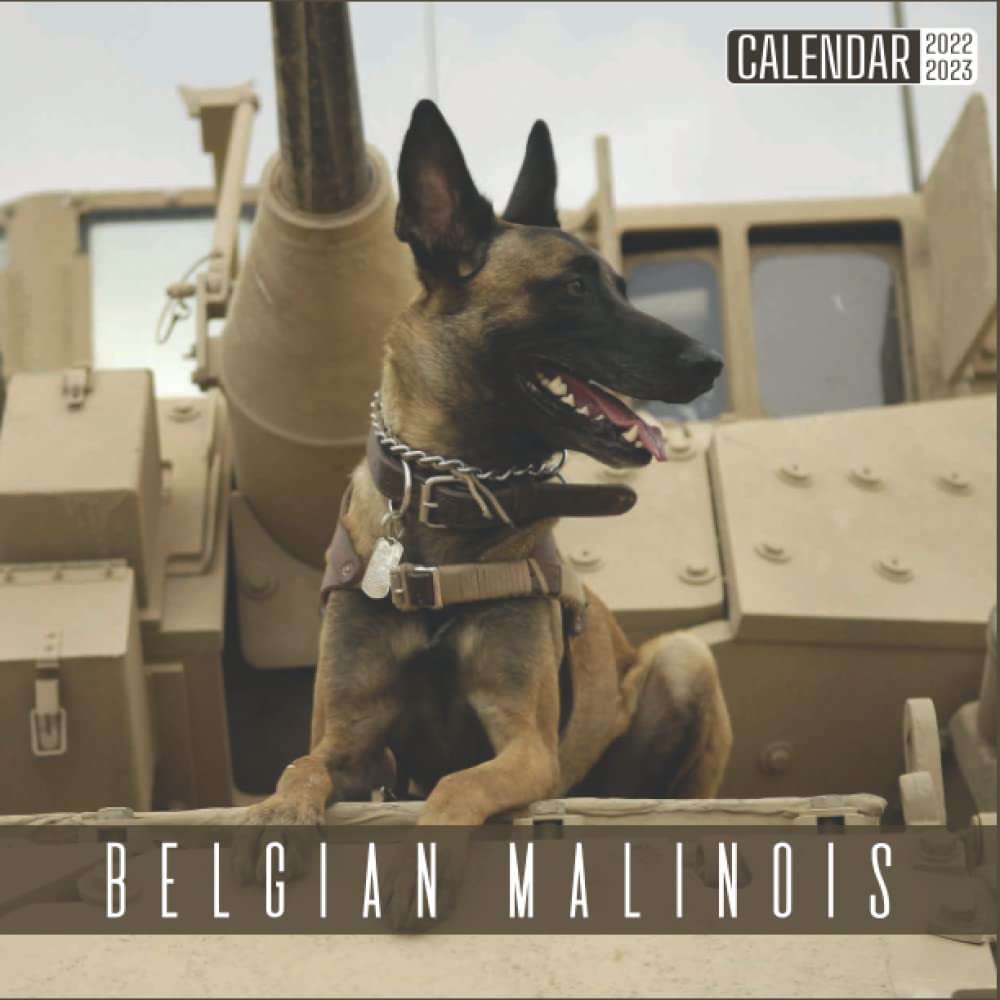 Belgian Malinois Calendar 2022 2023: Official Dogs Calendar 2022, 18