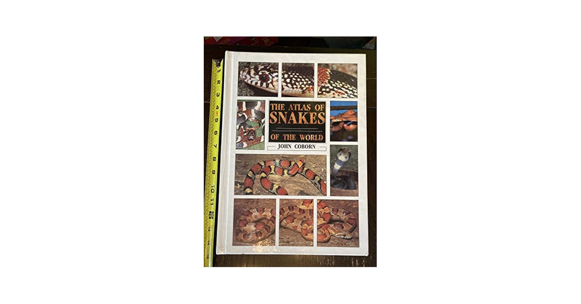 洋書THE MINI-ATLAS OF SNAKES アトラス　ヘビ The Book of Snakes: A Life-Size Guide to Six Hundred Species