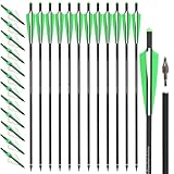 ZSHJGJR Crossbow Bolts 16 17 18 20 22 Inch Archery Carbon Crossbow Arrows with Screw-in Hunting Broadheads for Crossbow Hunting Target Shooting 6/12pcs (12, Green, 22 Inch)