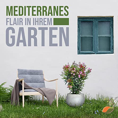 Parent Oleander DE – Bild 8