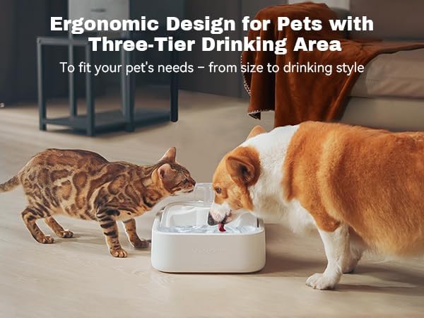 Miniatura 9 de Fuente de agua rica en oxígeno para gatos que beben saludablemente, dispensador de agua para mascotas, cuenco RealFountain Pro de 3 cansados para