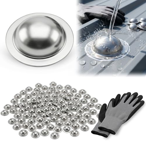 Stainless Steel Roofing Screw Caps for Roof Leak Repair 100 Pcs