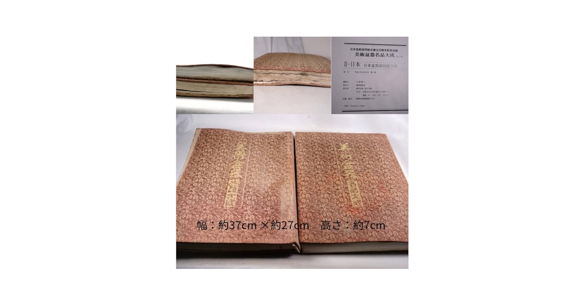 Amazon.co.jp: 美術盆器 名品大成2冊組美術盆器 名品大成2冊組