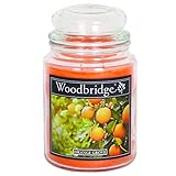 🕯100% BAUMWOLLDOCHTE – Alle Woodbrigde Duftkerzen im Glas werden mit speziellen Dochten aus Baumwolle gefertigt. Die 2-Dochte in der Kerze sorgen für eine perfekte Duftverteilung im Raum. Des Weiteren brennen die Gläser sauberer ab und sorgen für ein schönes Ambiente!