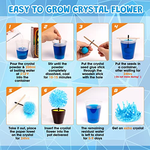 GobiDex Crystal Growing Kit, Science Kits for Kids Age 8-12, Grow Fast in (24H) Science Experiments Lab Toys, DIY STEM Projects Learning & Educational Toys, Crafts Gift Boys & Girls Ages 6 7 8 9 10 12 - Image 4