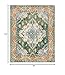 SAFAVIEH Monaco Collection Area Rug - 6'7