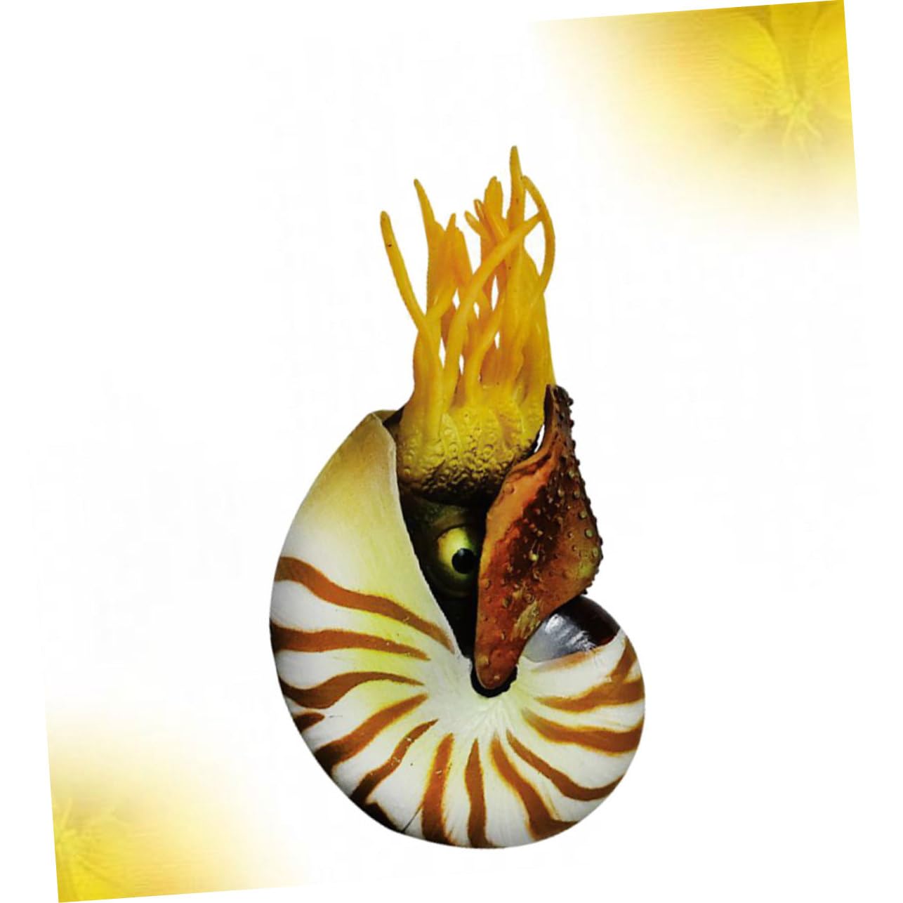 3stücke Simulation Nautilus Muscheldekor Für Aquarien Kreative Deko Für Fischbehälter Wohnzimmer Garten Bastelmaterial Für -kunstwerke Mediterraner Stil Hochwertige
