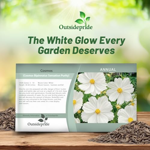 White Cosmos Annual Cut Flower Seeds - 1000 Seeds for Planting