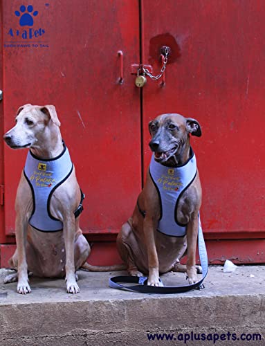 Image of A+a Pets' Pataka' Harness and Leash Combo Set, Size-S