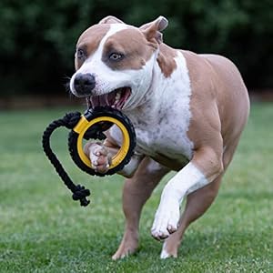 Tonka Mega Tread Rope Tug Dog Toy, Lightweight, Durable and Water Resistant, 15 Inches, for Medium/Large Breeds, Single Unit, Yellow/Black Tonka Mega Tread Rope Tug Dog Toy, Lightweight, Durable and Water Resistant, 15 Inches, for Medium/Large Breeds, Single Unit, Yellow/Black