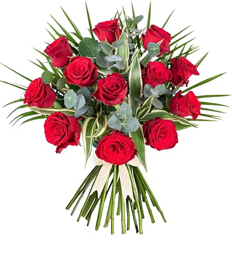 12 Red Roses - Fresh Flowers - Birthday, Anniversary, Get Well, Thank You, Occasion Flower - Fresh Cut Floral Arrangement for Home Décor, Gifts, Weddings, Sympathy, Celebrations, and Special Events