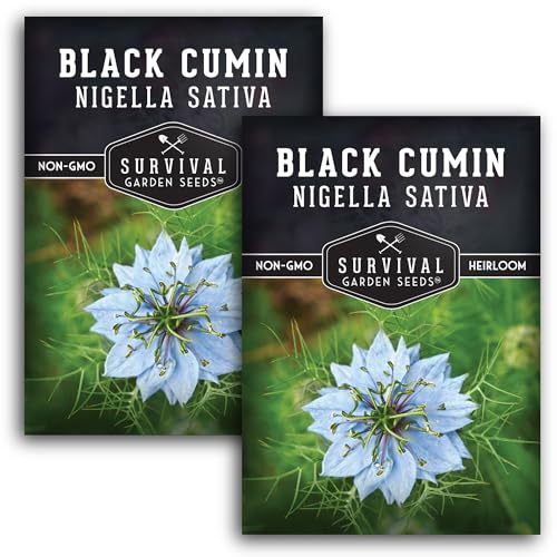 Survival Garden Seeds Black Cumin Seed for Planting - 2 Packets with Instructions to Plant and Grow Beneficial Nigella Sativa Plants in Your Home Vegetable Garden - Non-GMO Heirloom