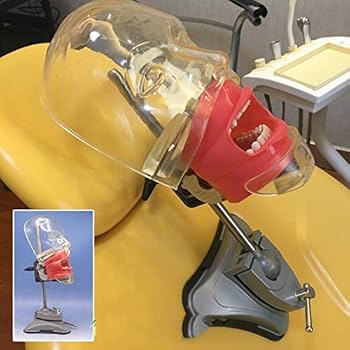 Amazon.co.jp: 歯のモデルを備えた歯科ファントムマネキン歯科医