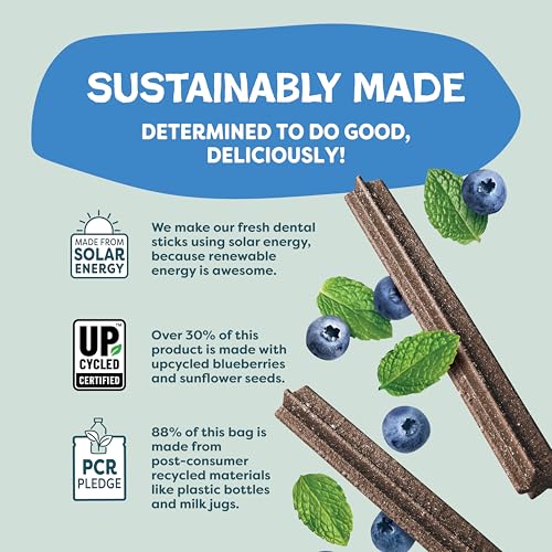 Image of Shameless Pets Blueberry & Mint Dental Chews for Dogs, 8 Chews - Natural Dog Teeth Cleaning Treats with Fresh Breath Benefits | Grain-Free Dental Sticks for Small, Medium & Large Dogs