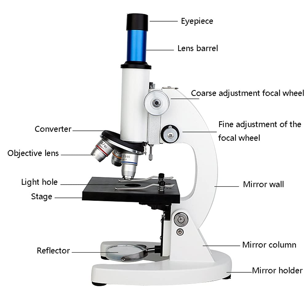 Microscopio per Laboratorio Microscopio Composto Microscopio per Principianti Illuminazione a LED e Specchio con oculare WF20X Adulti Studenti Bambini Laboratorio