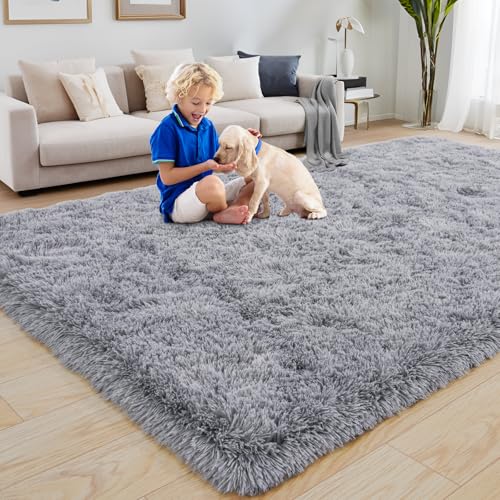 KING DARE 4x6 Grey Rug for Bedroom, Shaggy Plush Fuzzy Non-Slip Soft Fluffy Carpet Washable for Living Room Dorm Playroom Kids Room, Modern Home Decor Aesthetic