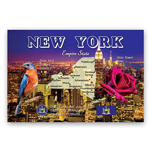 Carte de New York carte postale lot de 20 cartes postales épaisses anti-pliure USA