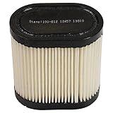 Air Filter Compatible with Stens 100-812 Compatible with Tecumseh 740083A Fits Tecumseh LEV100,