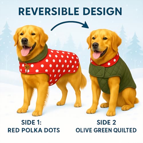 Image of Sage Square Dual-Sided Polka Dot Dog Jacket - Protective Cold-Weather Gear for Pets, Lightweight, Cushioned, Designed for Warmth & Comfort Indoors or Outside (Polka Red, XS - 12 Inch)