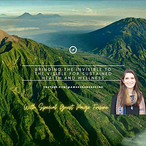 Bringing the Invisible to the Visible for Sustained Health and Wellness with Paige Frisone
