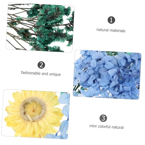 Flores prensadas naturales para manualidades 1 pack miniatura 5
